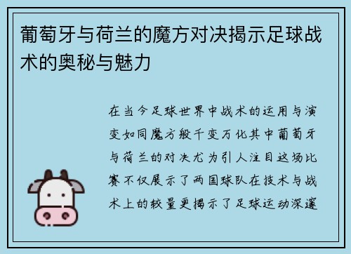 葡萄牙与荷兰的魔方对决揭示足球战术的奥秘与魅力
