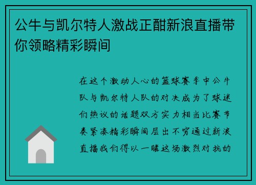公牛与凯尔特人激战正酣新浪直播带你领略精彩瞬间